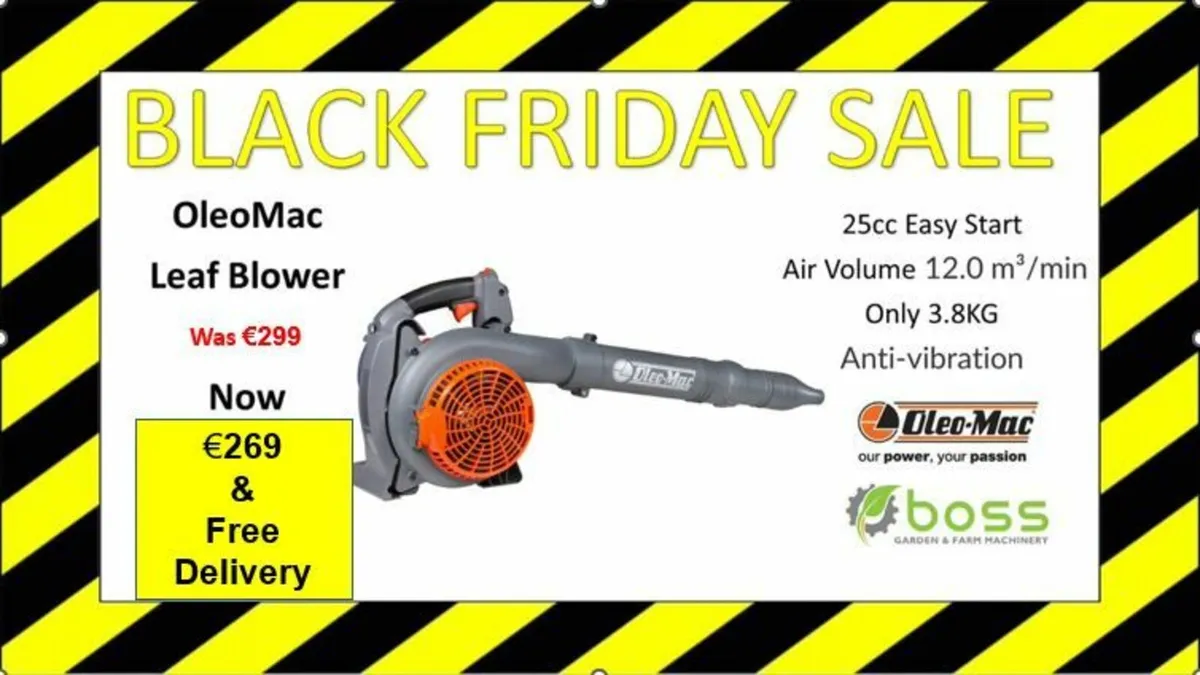🔥 Black Friday Oleo-Mac BV 250 hand-held blower🔥 - Image 1