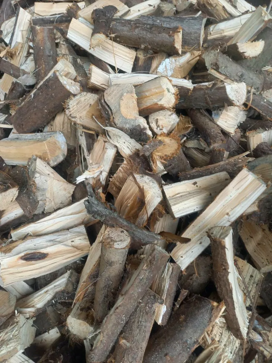 Fire Wood - Image 1