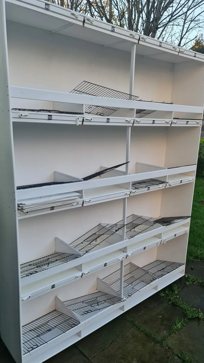 BLOCK 16 BIRDS CAGES - Image 2