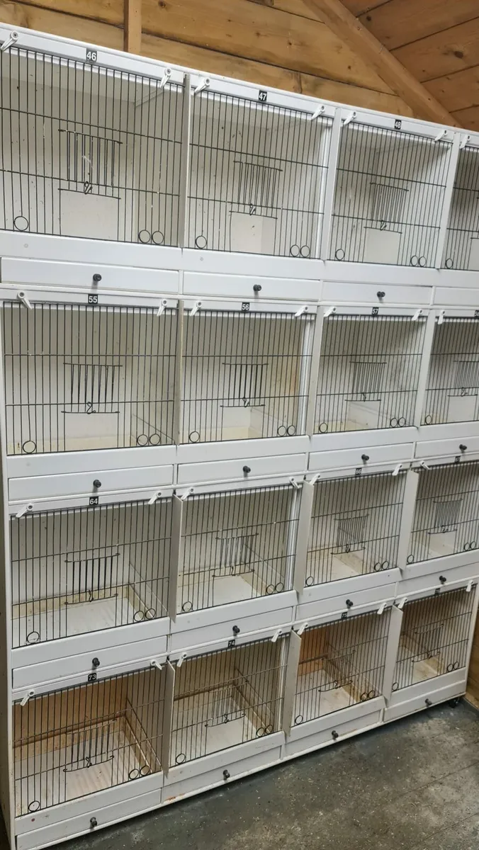 BLOCK 16 BIRDS CAGES - Image 3