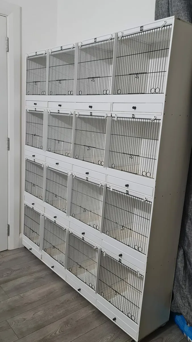 BLOCK 16 BIRDS CAGES - Image 1