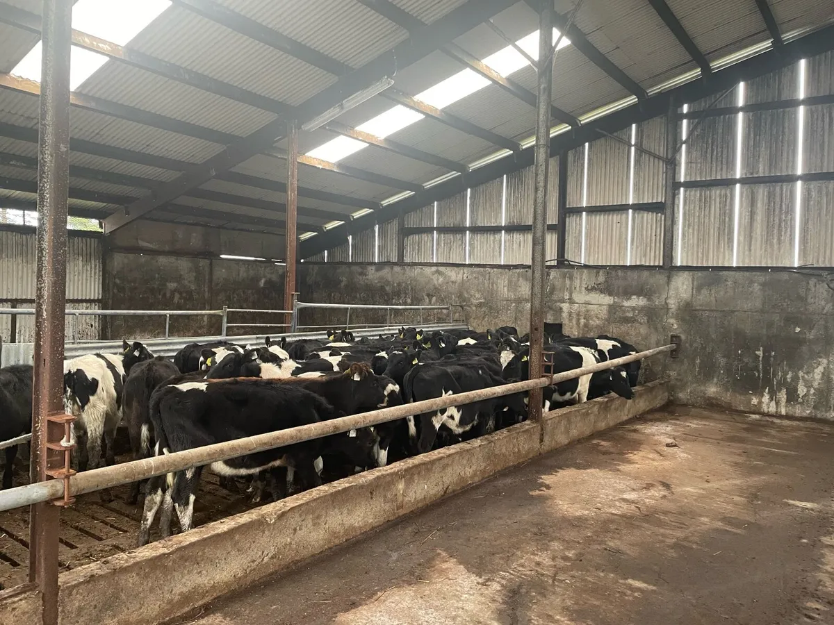 6 Bay Slatted House for Winter 25/26 Rental