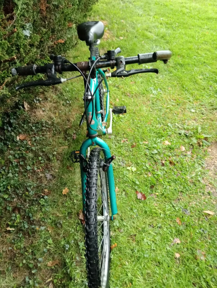 Mens Mountain bike - Image 2