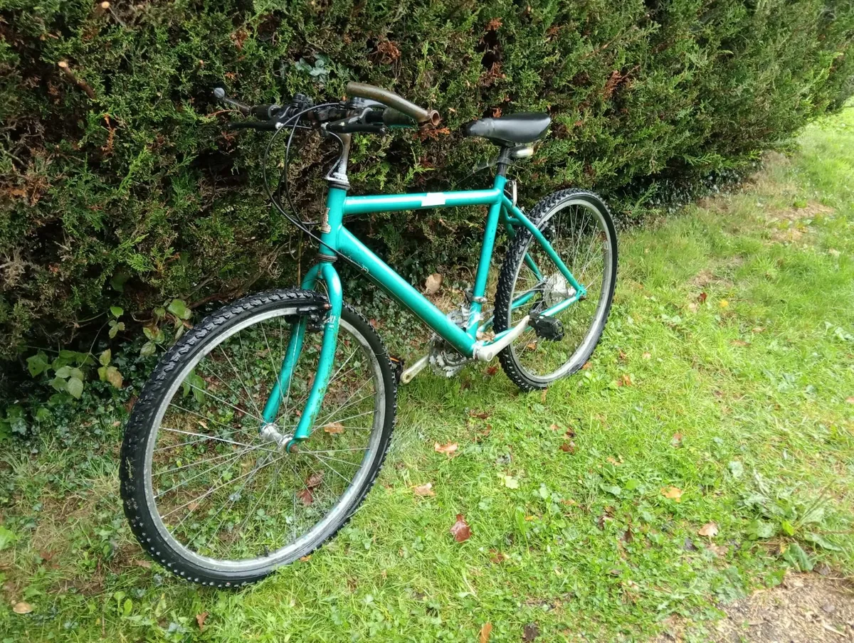 Mens Mountain bike - Image 1