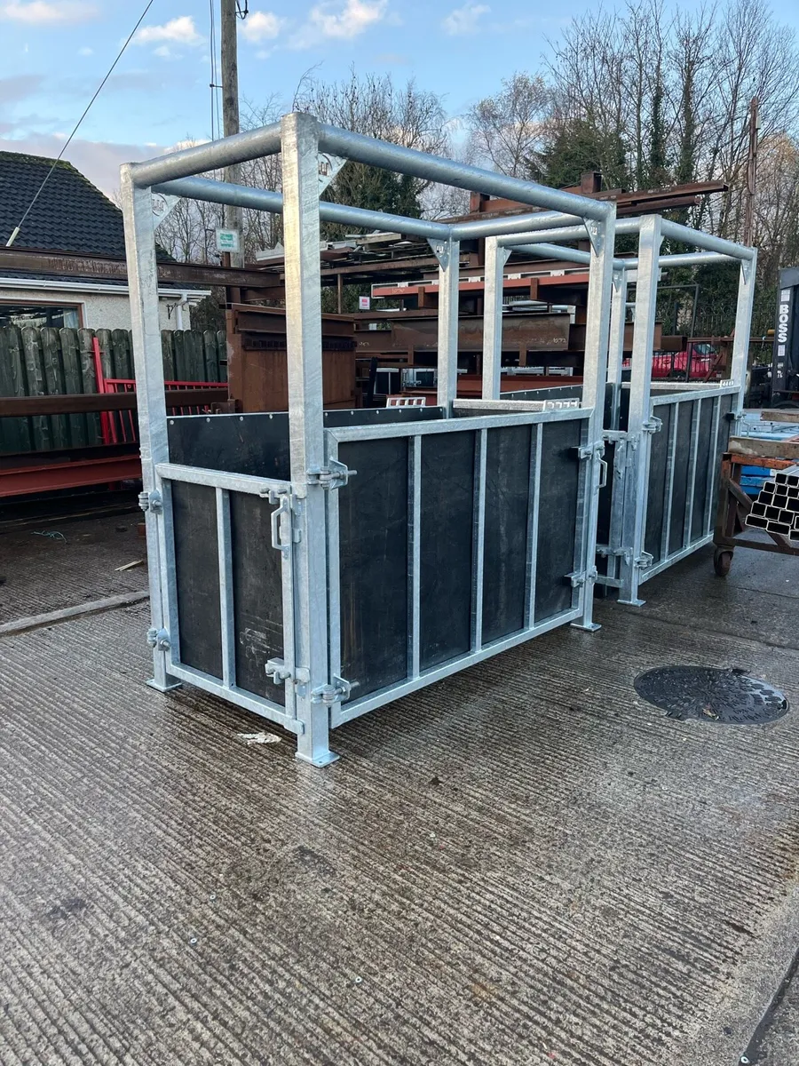 Horse Stocks - Image 1