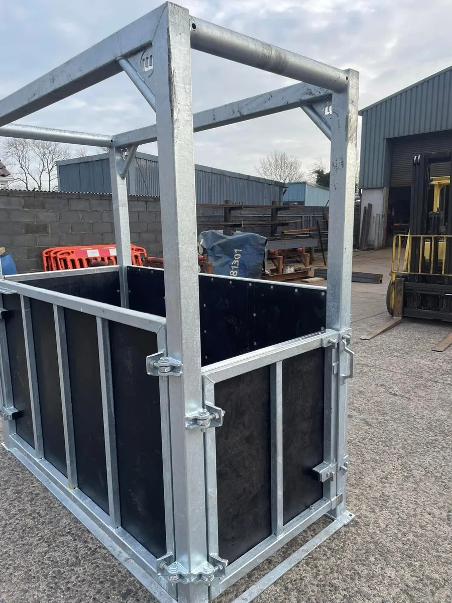 Horse Stocks - Image 4