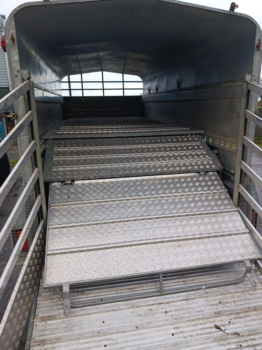 Jim Murphy 14X5ft10 trailer - Image 3