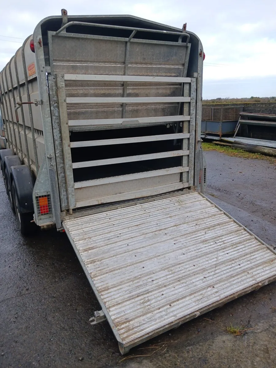 Jim Murphy 14X5ft10 trailer - Image 4