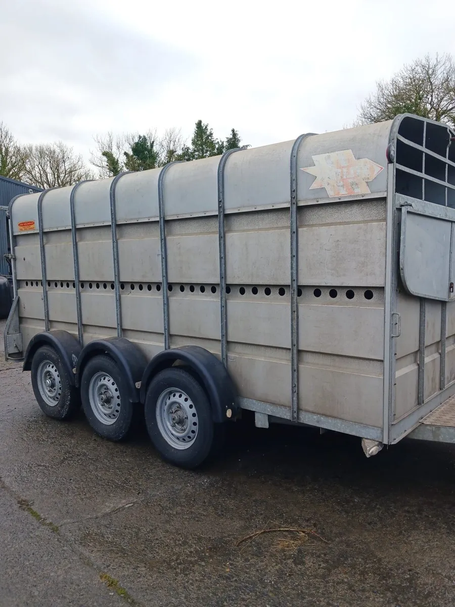 Jim Murphy 14X5ft10 trailer - Image 1