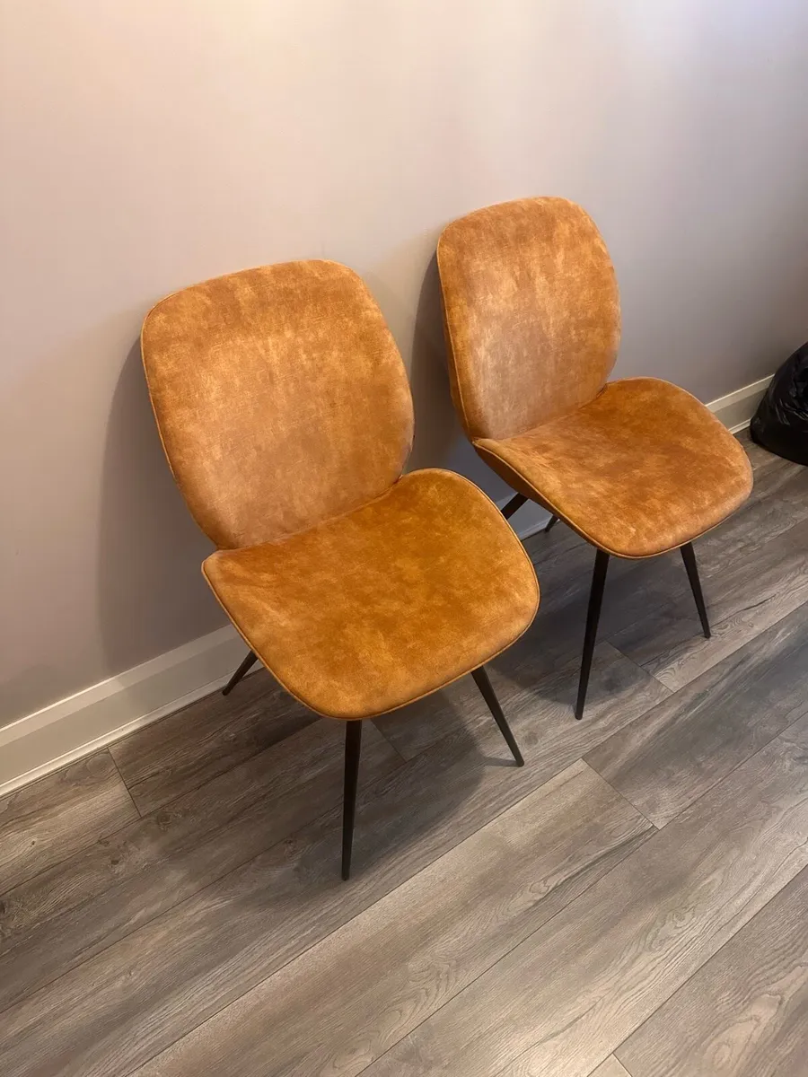 Dining chairs - Image 1