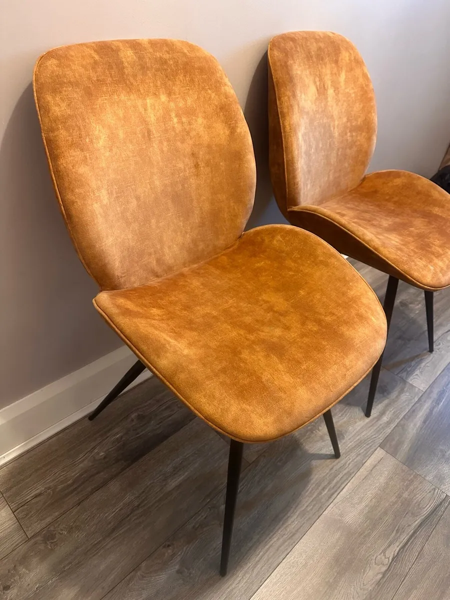 Dining chairs - Image 2