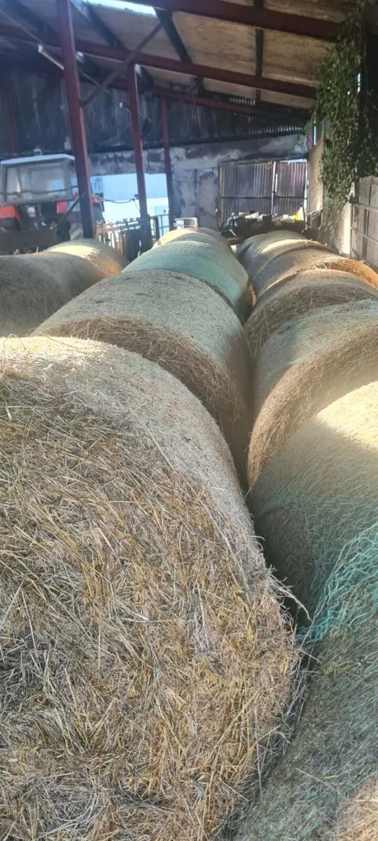 Silage & Hay Bales - Image 2
