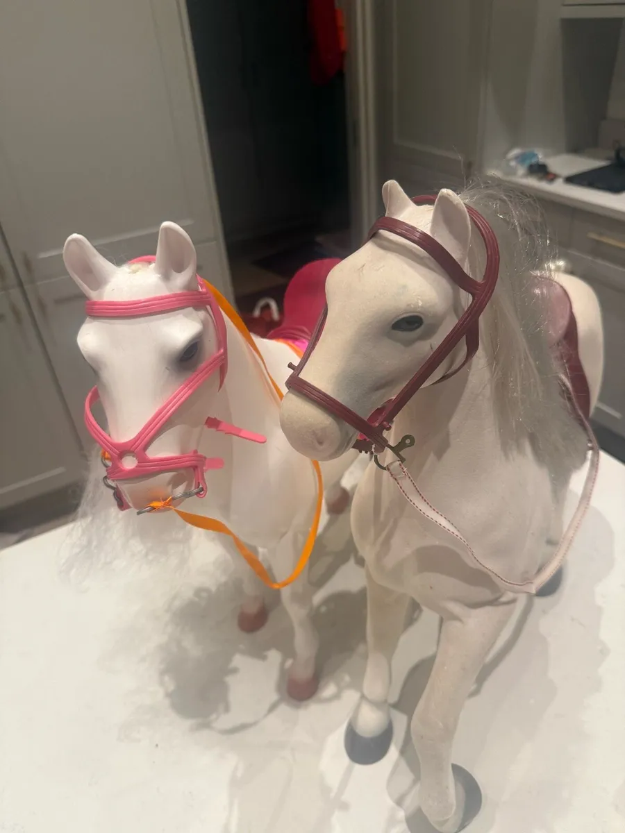 Generation school and horses - Image 3