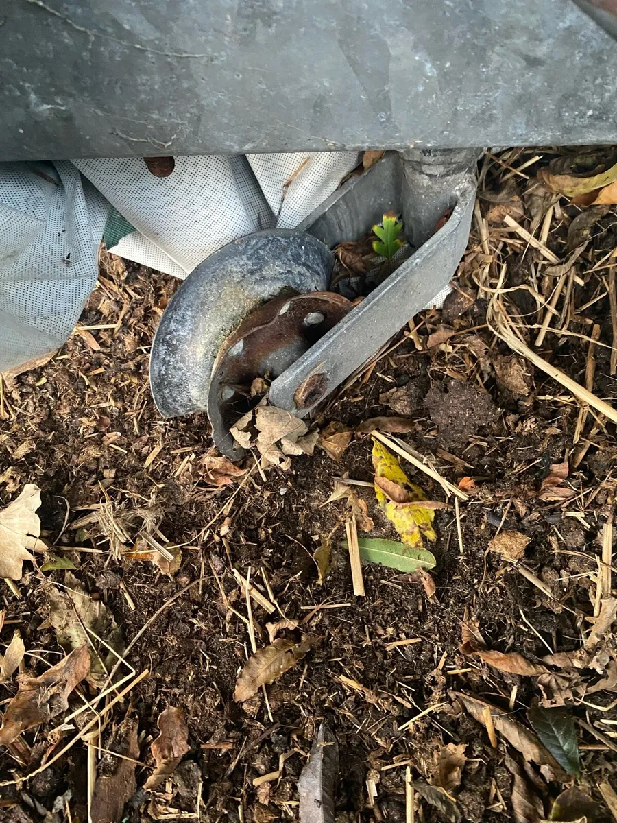 16ft Ifor Williams boat trailer - Image 2