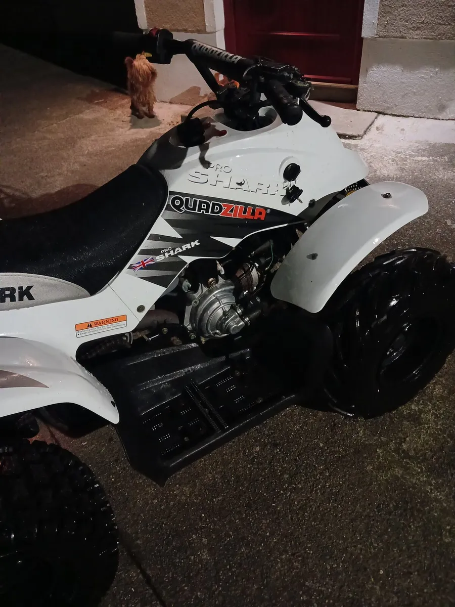 Quad - Image 2