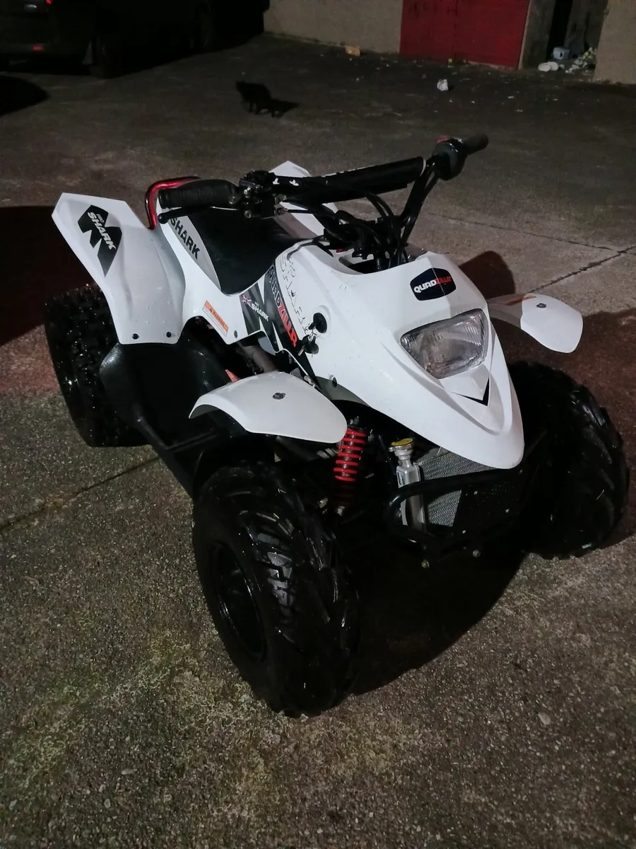 Quad - Image 3