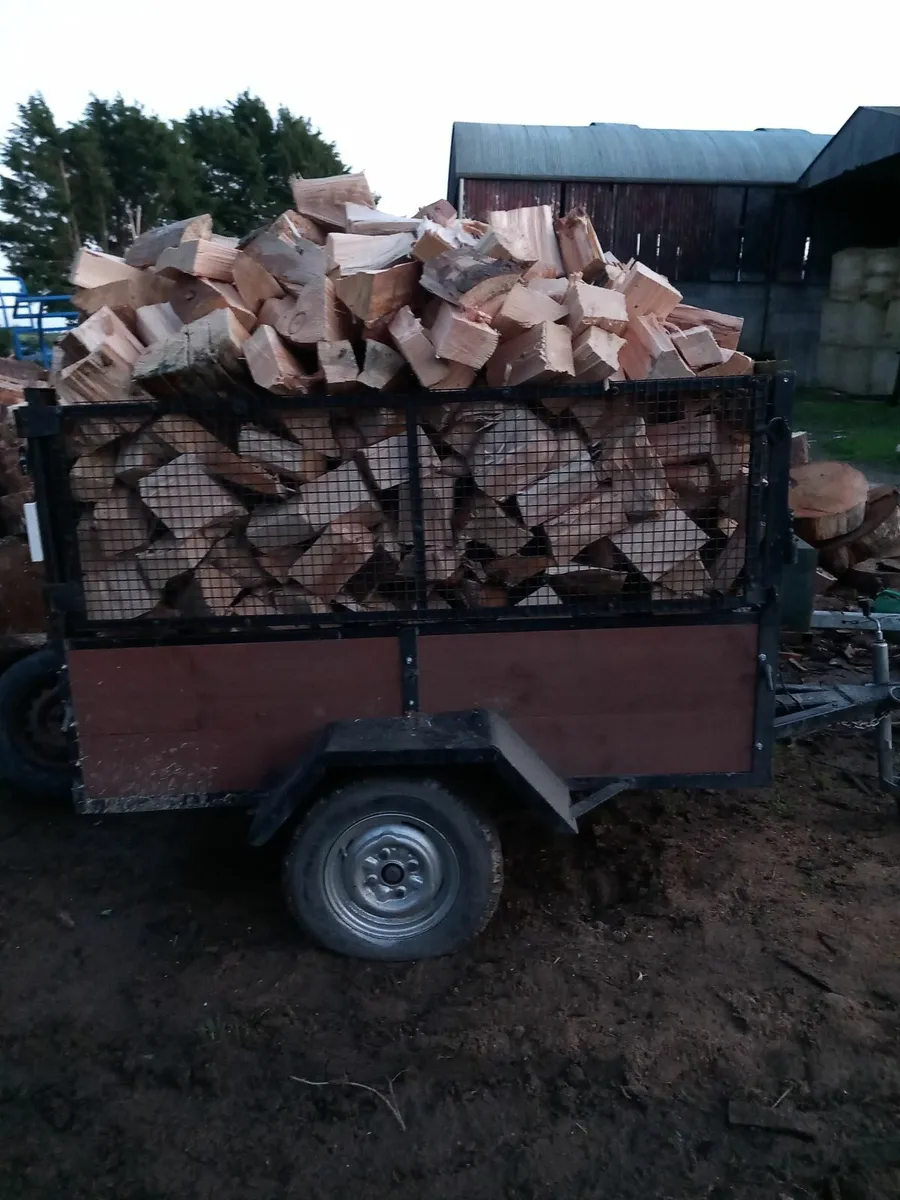 Firewood - Image 4