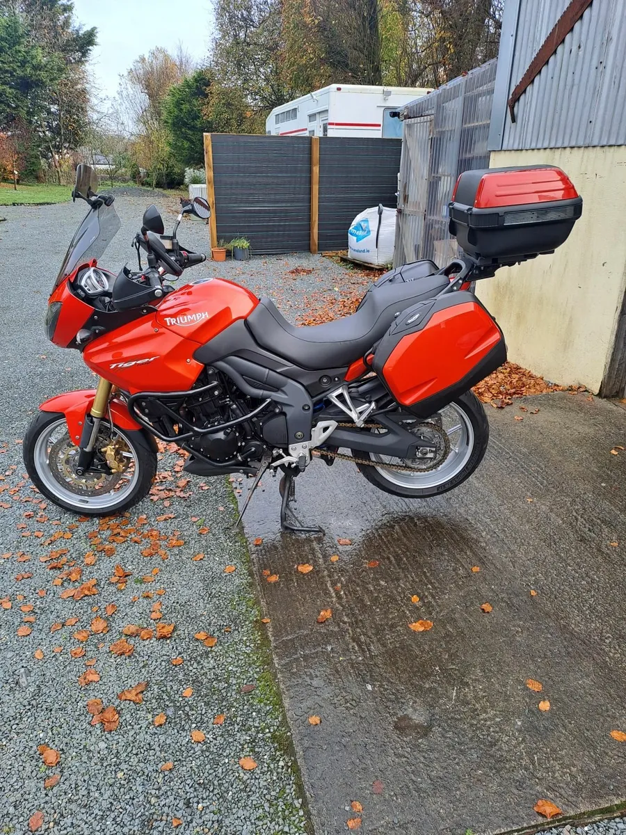 Triumph Tiger 1050 SE ABS - Image 1