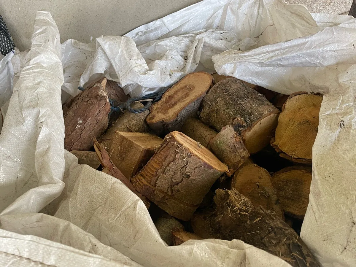 Softwood firewood - Image 2