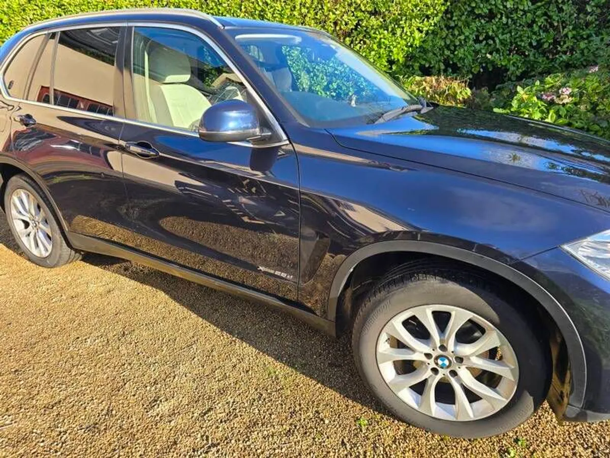 2017 (172) BMW X5 2.0 litre diesel XDRIVE 25D 7-seater SE - Image 4