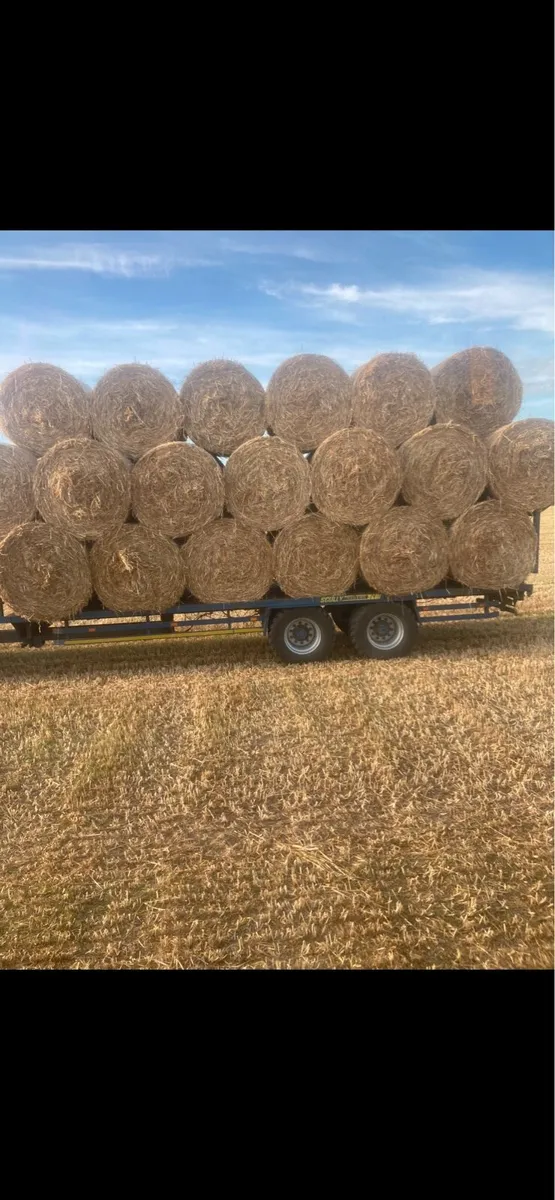 Oaten straw and Hay - Image 1