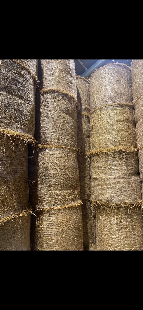 Oaten straw and Hay - Image 3