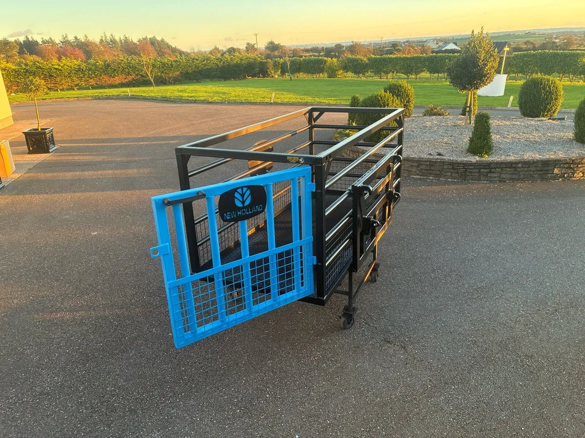 NEW HOLLAND - Image 2