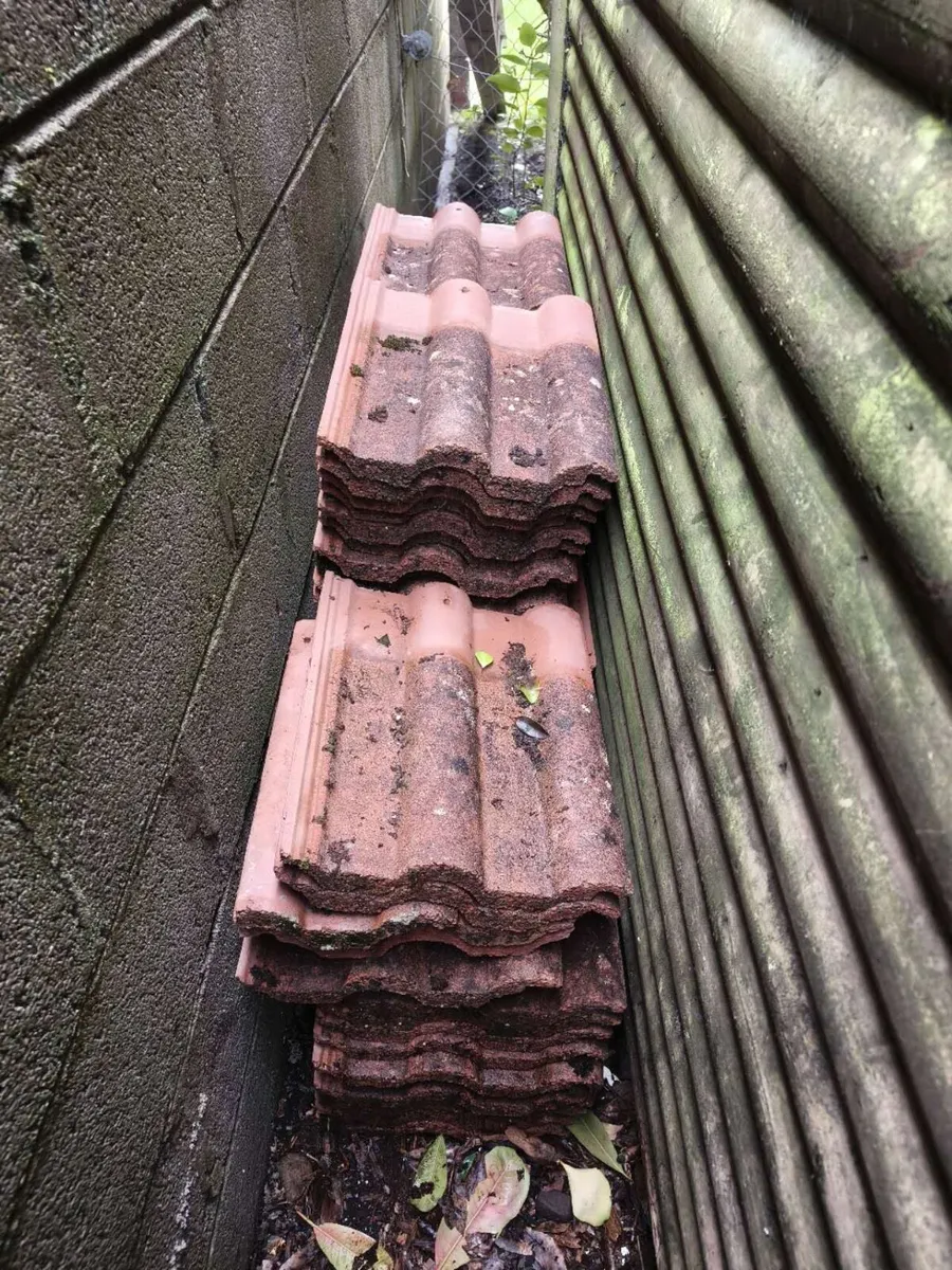 Roof tiles - Image 1