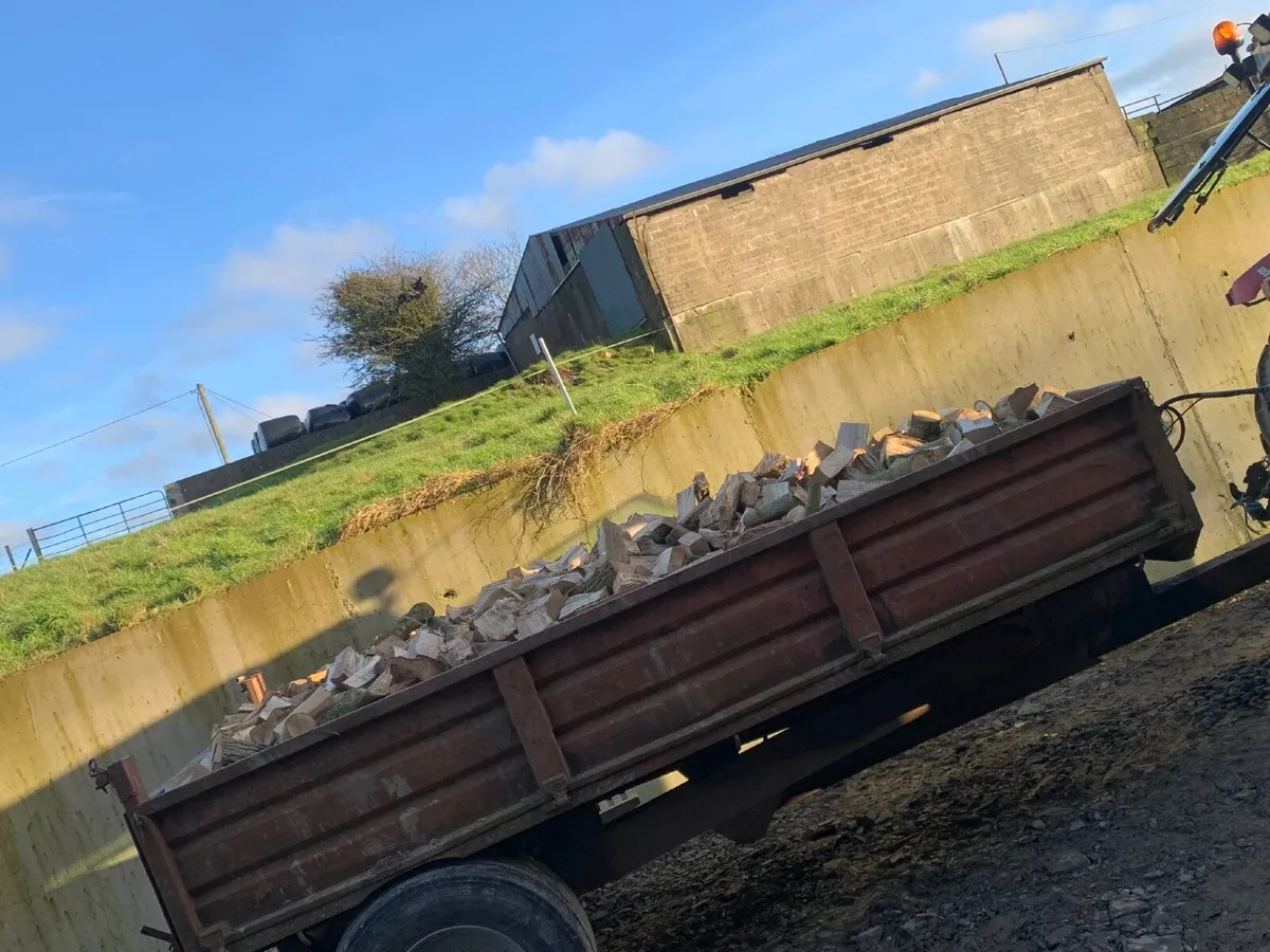 Ash firewood - Image 2