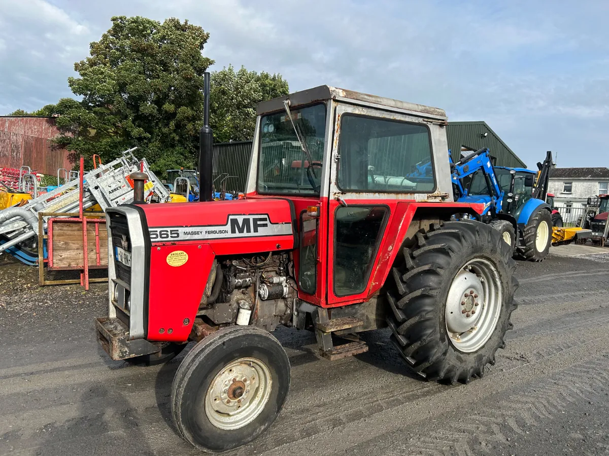 1982 Massey Ferguson 565 2wd - Image 1