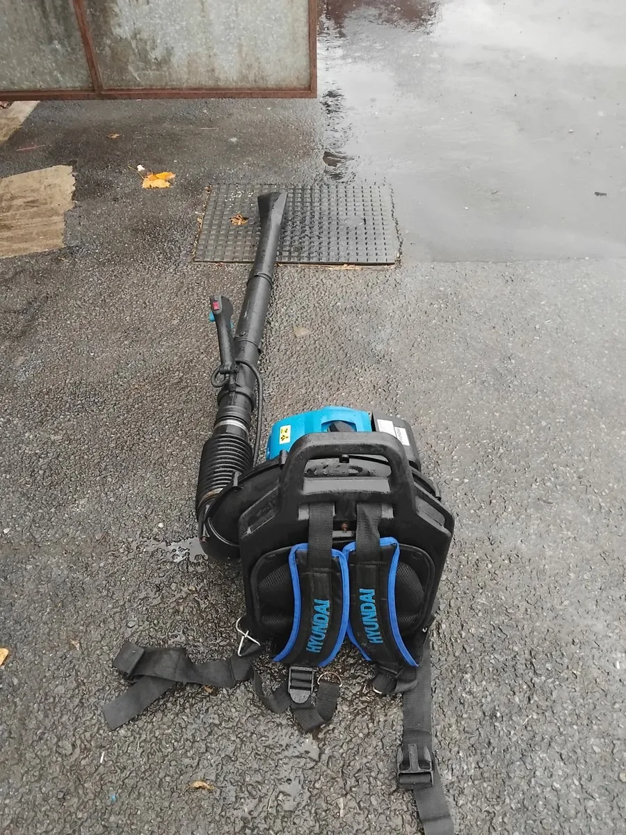 Hyundai leaf blower petrol like new priced - Image 3