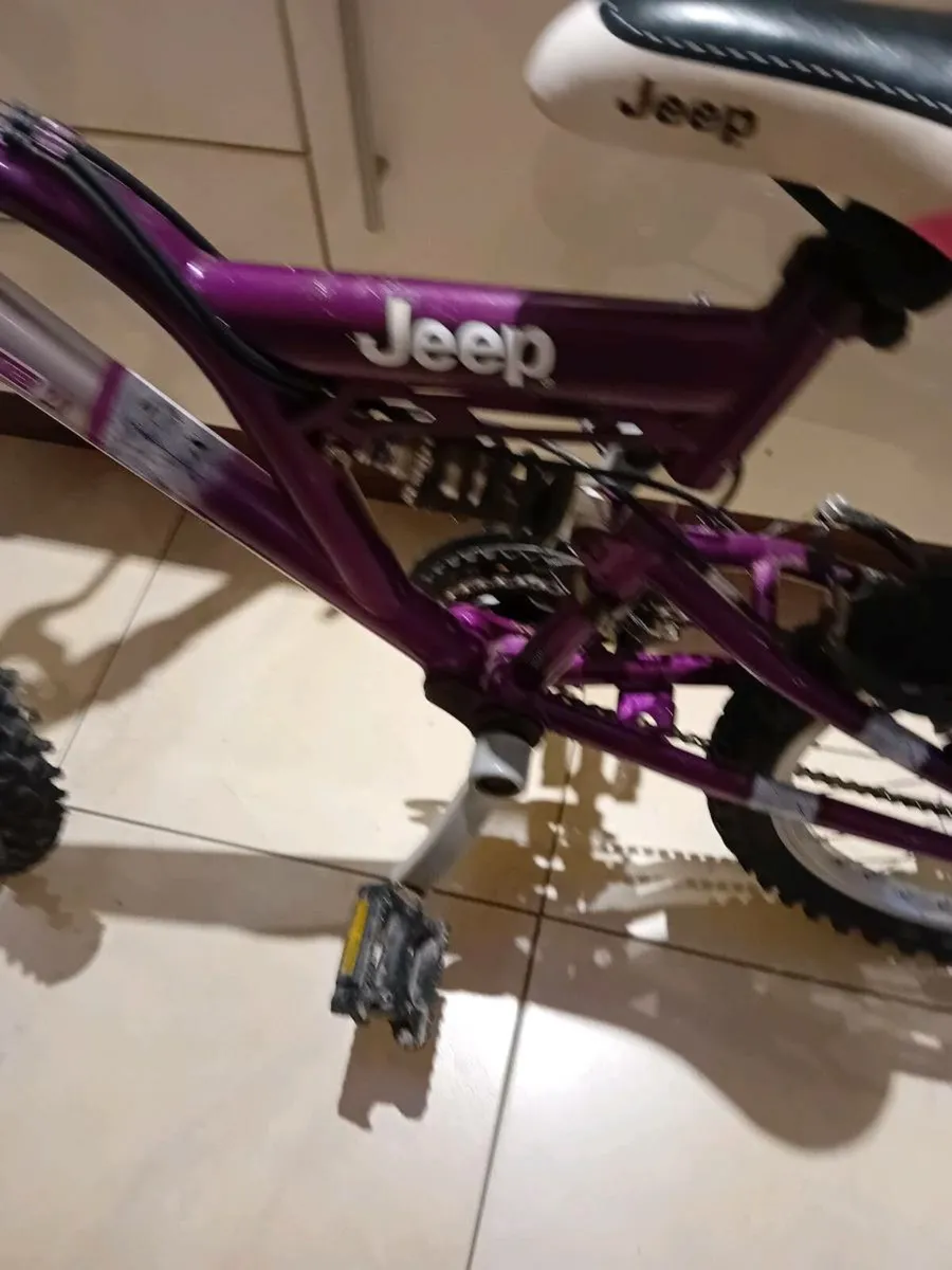 GIRLS BIKE 20 INCH WHEELS - Image 1