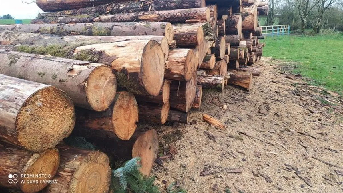 Bulk Softwood Firewood 70 per Tonne Bag - Image 4