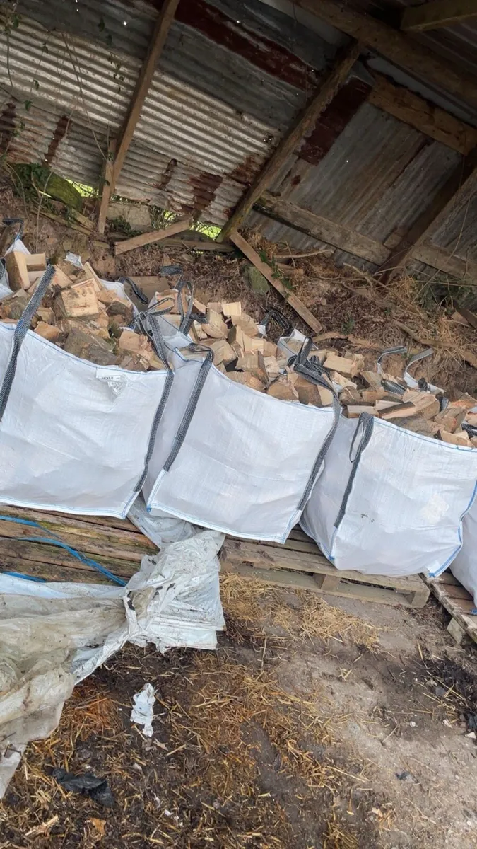 Ash firewood - Image 1