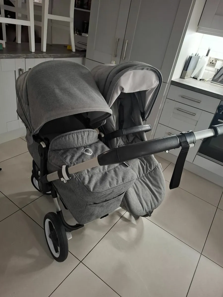 Donkey Bugaboo - Image 1