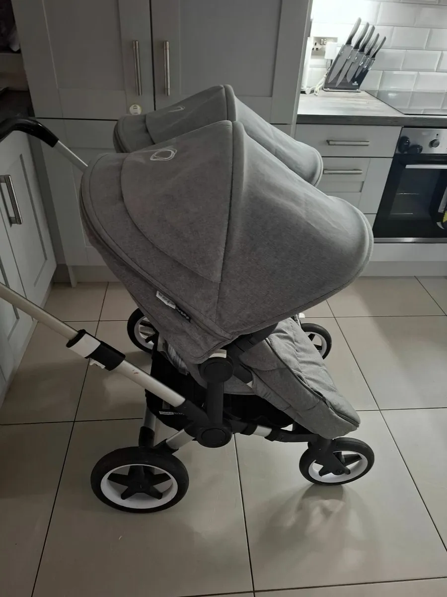 Donkey Bugaboo - Image 4