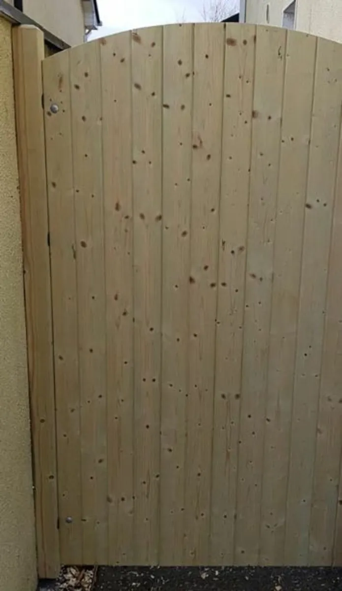 Arched Side Gate - Image 1