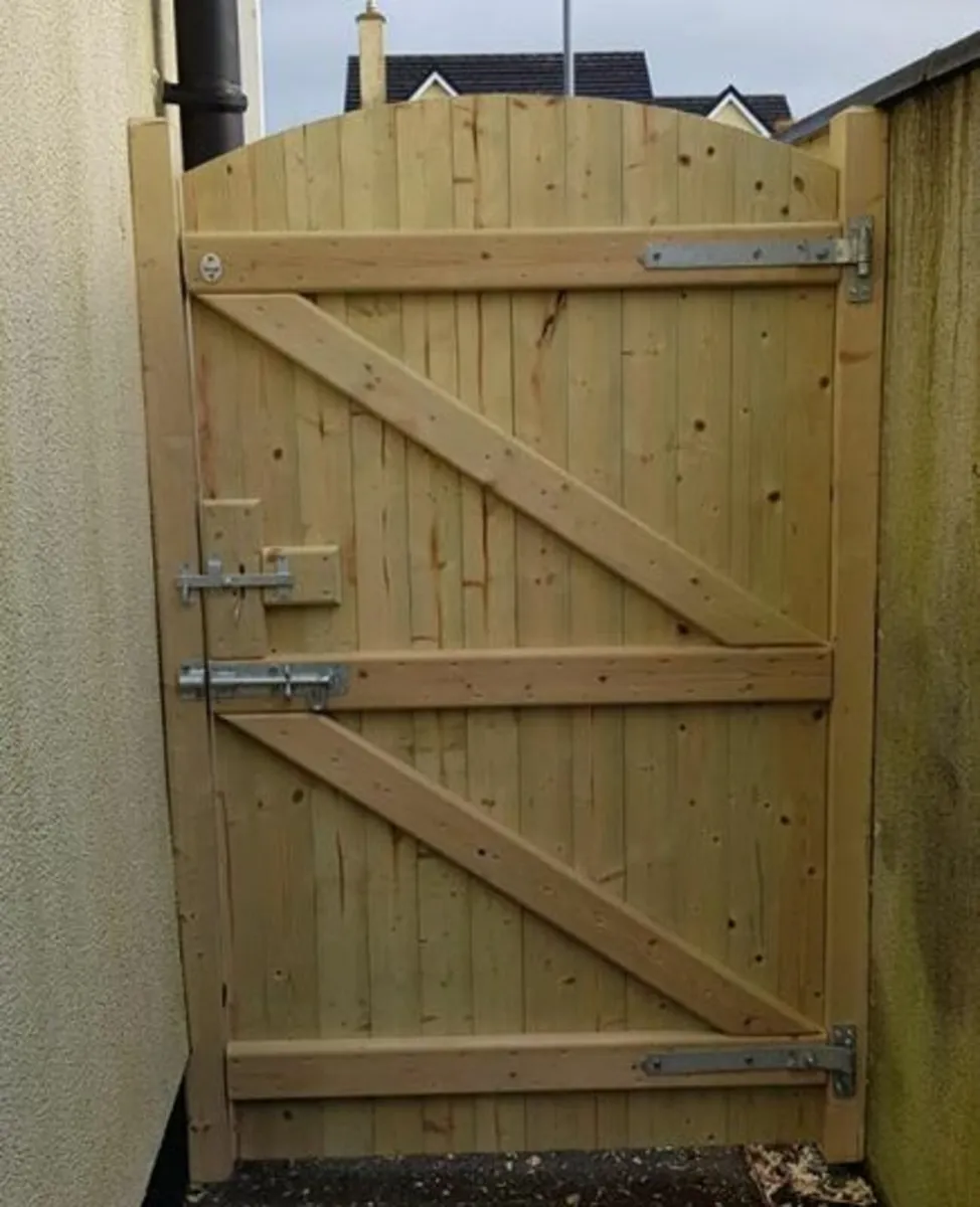 Arched Side Gate - Image 2