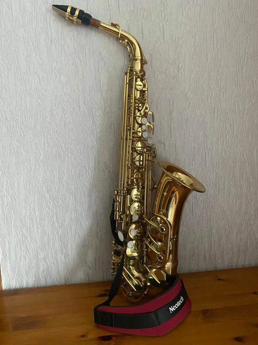 Saxophone - Alto - Stewart Ellis - Image 2