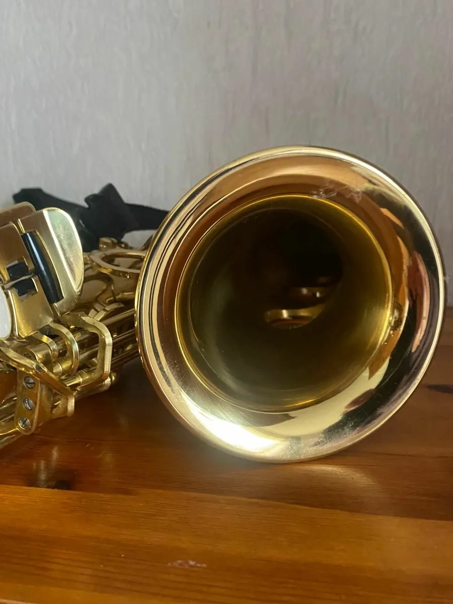 Saxophone - Alto - Stewart Ellis - Image 4