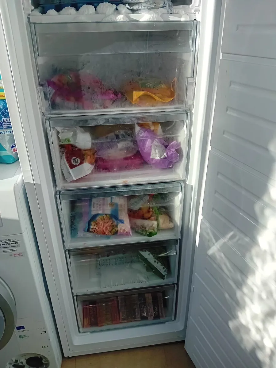 Freeze Nordmende - Image 2