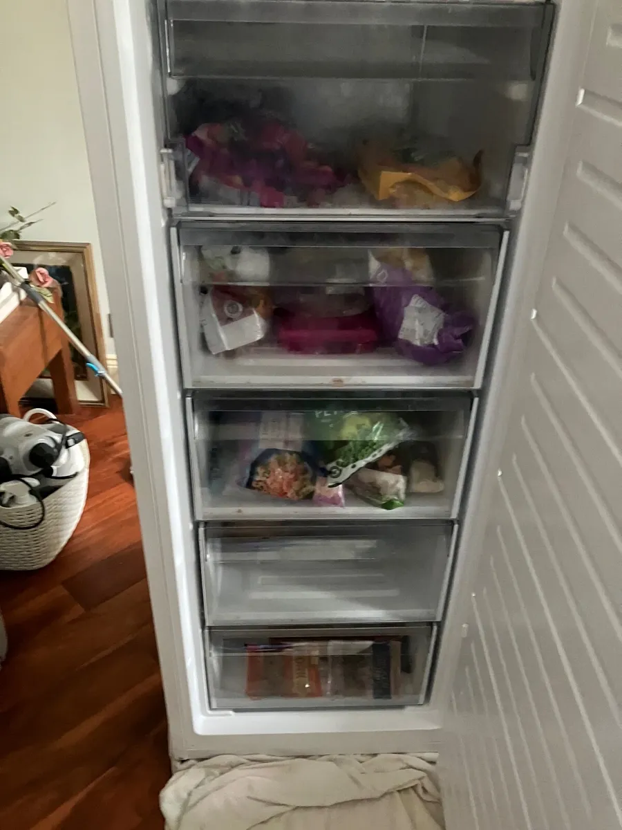 Freeze Nordmende - Image 4