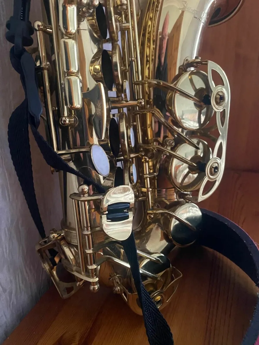 Saxophone - Alto - Stewart Ellis - Image 1
