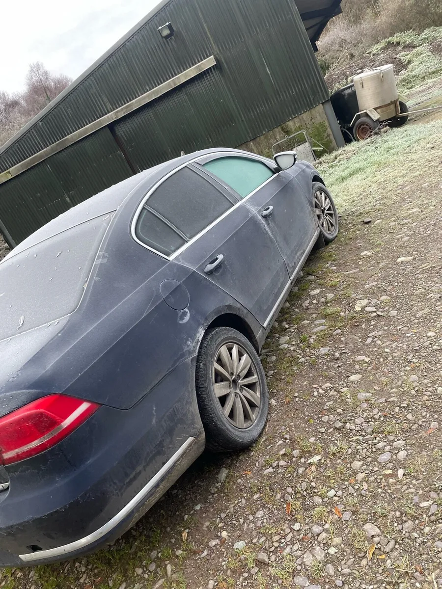 Passat for breaking - Image 2