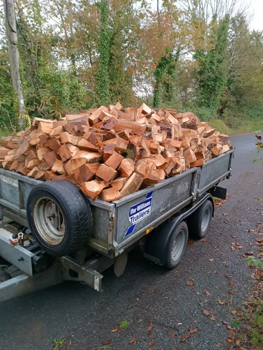 Seasoned hardwood timber for sale - Image 2