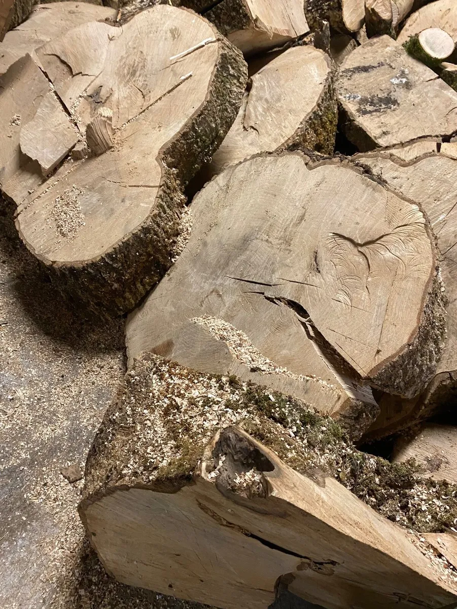 **Seasoned Hardwood Firewood - Image 3