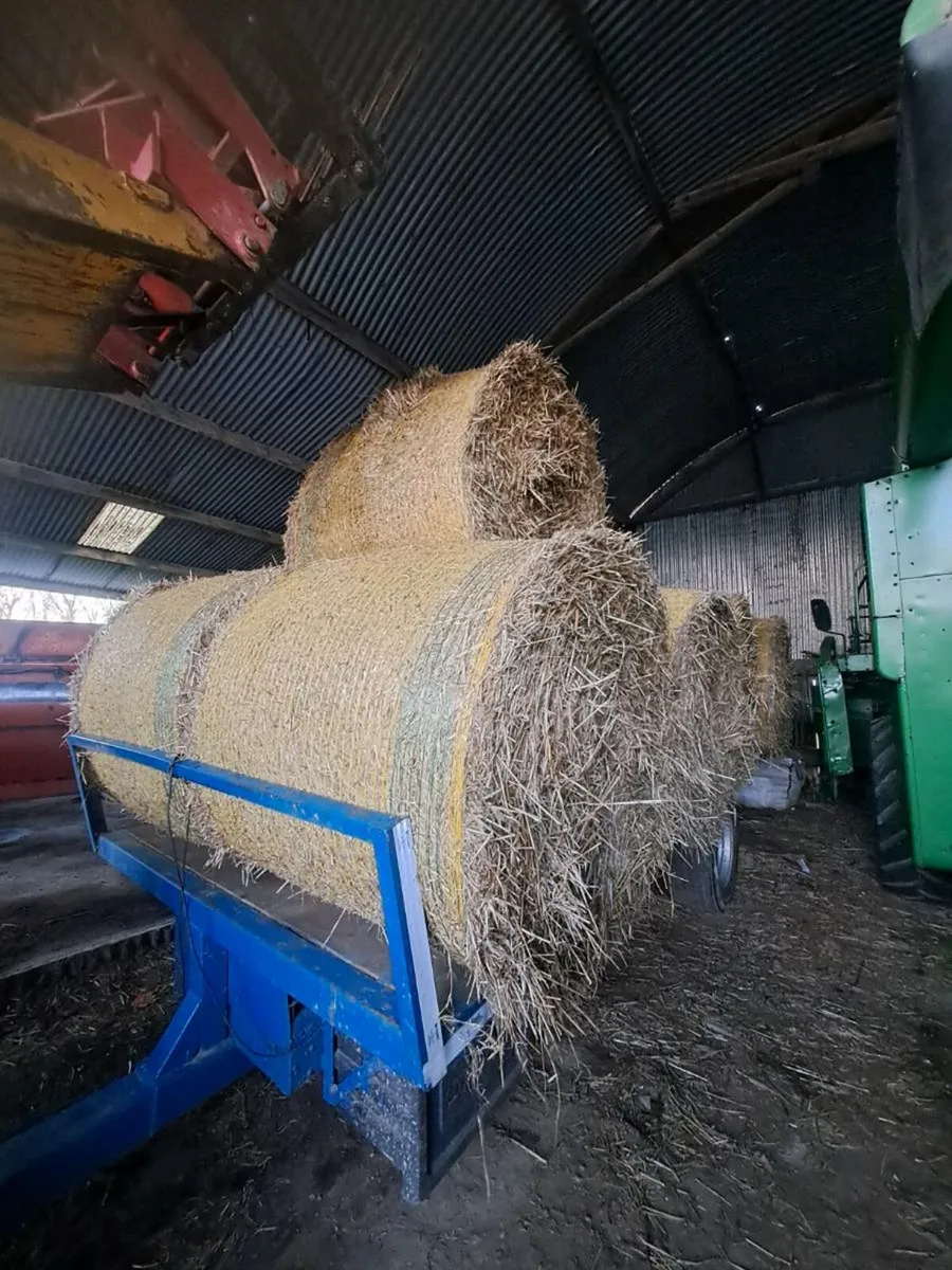 Spring barley straw - Image 4