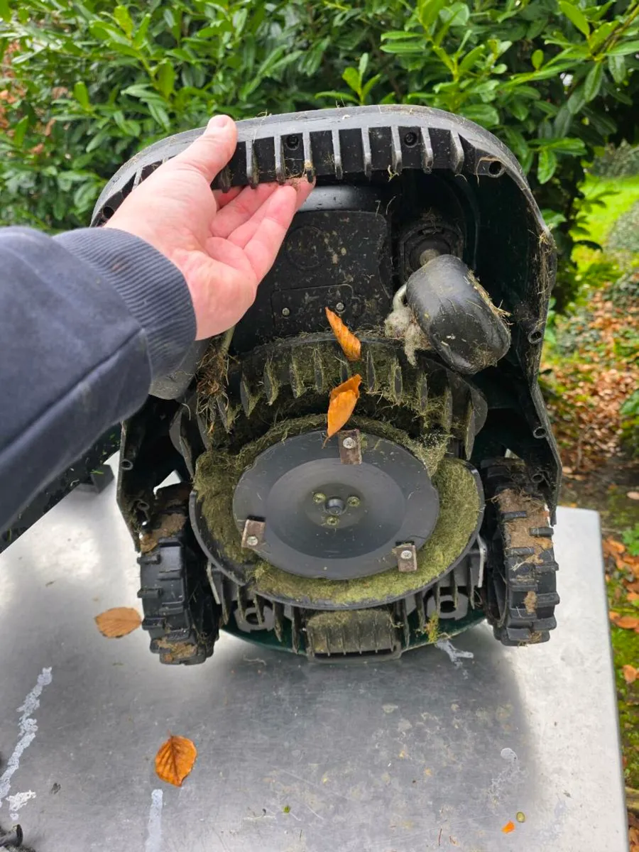 Robot lawnmower - Image 2