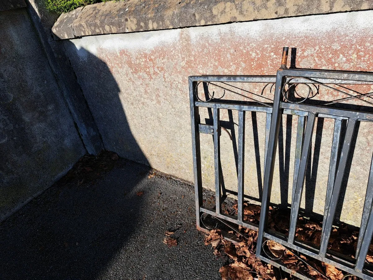 Iron Gates and a Rocking Chair - Image 3