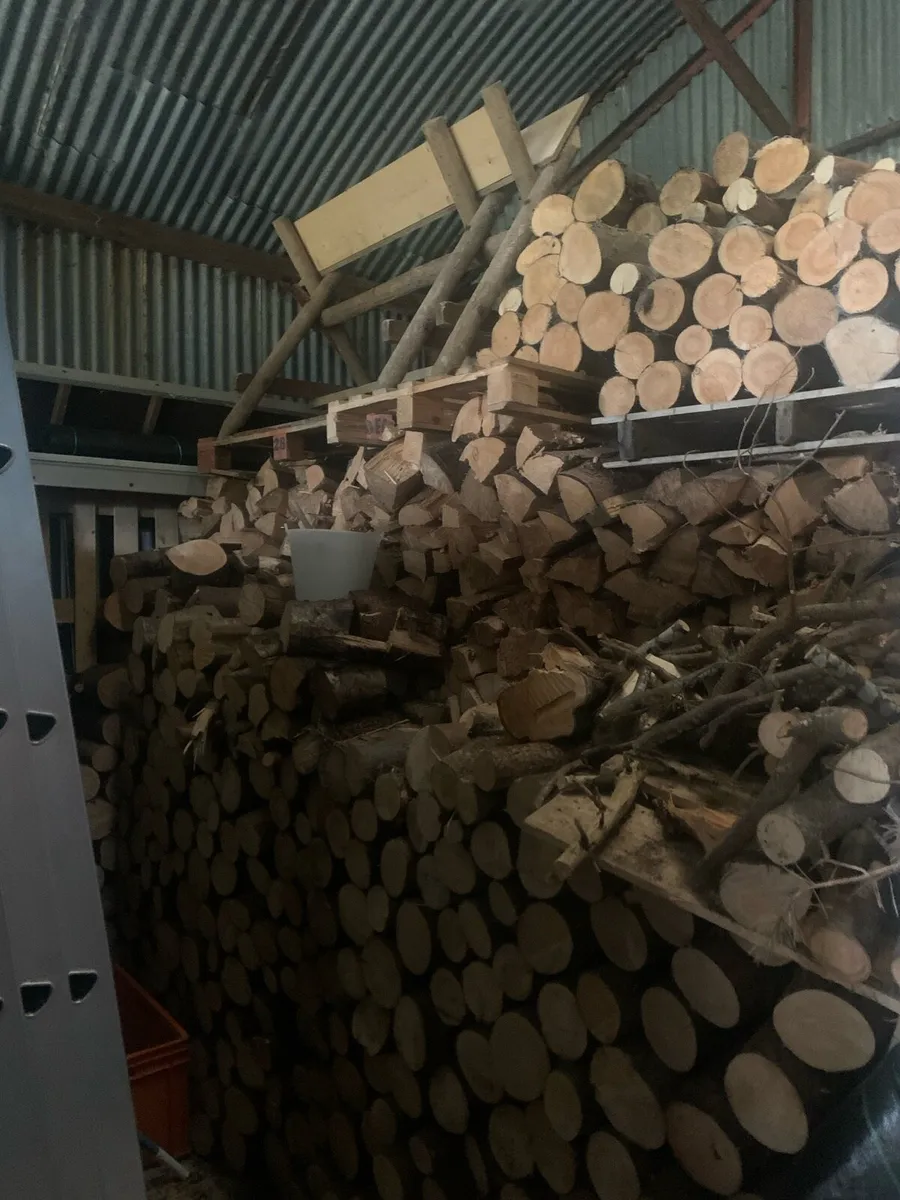 Firewood for stoves & open fires - Image 2